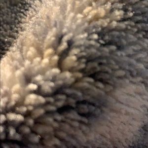 Meet your Posher, Andy